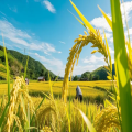 宜春富硒產(chǎn)業(yè)乘勢(shì)而上