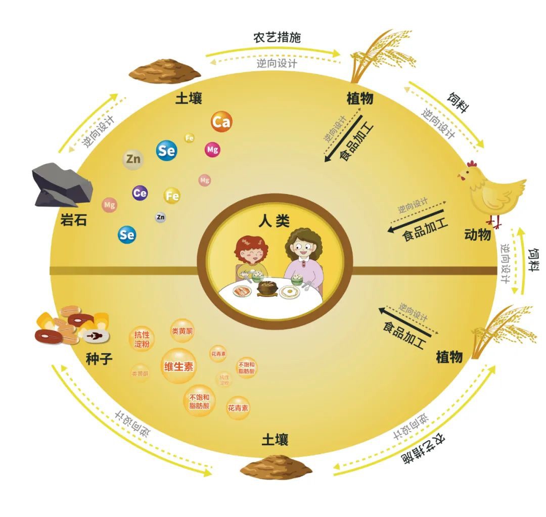 2022.9.16功能農業(yè)首次走進楊凌農高會(4).jpg