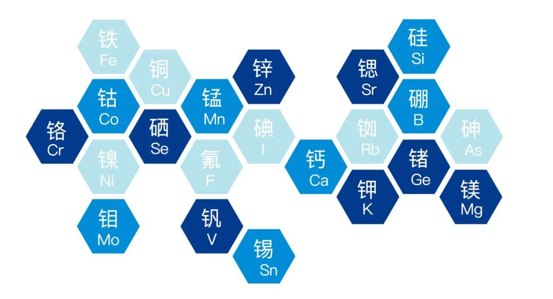 2022.9.16功能農業(yè)首次走進楊凌農高會(5).jpg